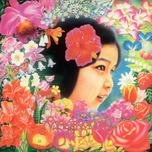 送料無料 お Arakawa Band Music Apple - その他