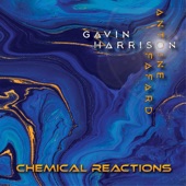 Chemical Reactions (feat. Janacek Philharmonic Orchestra & Jerry Goodman) artwork