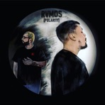 Polarity