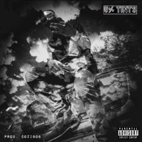 5% Tints - Single - Dazz