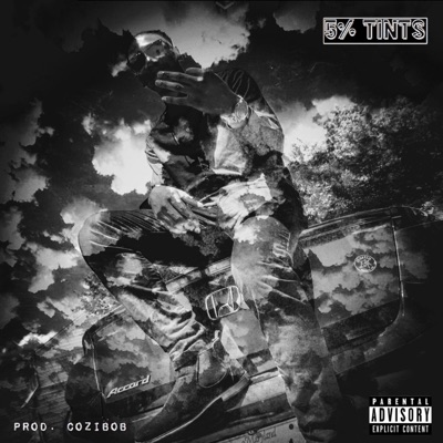 5% Tints - Single