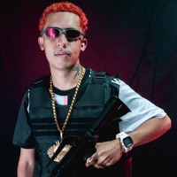 Bandida Milhonária (feat. Mc Dricka, Mc Morena & Mc Fabinho da Osk) - Single - Dj Nando Barbosa