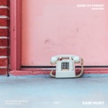 Hard to Forget (Radio Edit) by Sam Hunt