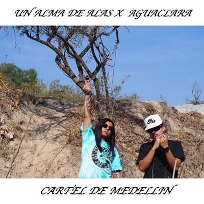 Un Alma de Alas - Single