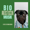 Bioakustische Musik – Musik, um Hunde und Katzen in Stress-Situationen zu beruhigen - Alice Pilz
