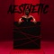 Aesthetic - Cherry Valentine lyrics