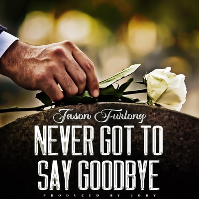 Never Got to Say Goodbye - Single