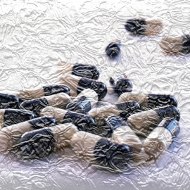 Methylphenidate Apollix