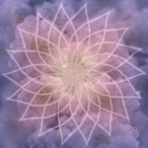 Solfeggio Tones and Nature Sounds Loops