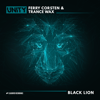 Black Lion (Extended Mix) - Ferry Corsten & Trance Wax