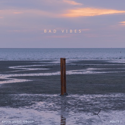 Bad Vibes - Single