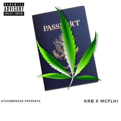 No Passport (feat. Mcflhi) - Single