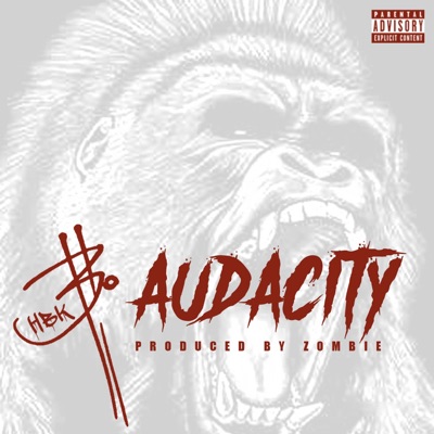 Audacity - Single