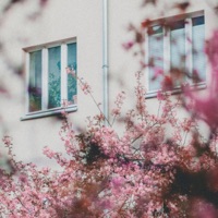 Better Days - Oui Lele