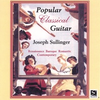 Joseph Sullinger, guitar - Wilson's Wilde