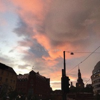 Like You - Single - Braden Ross, Days to Waste & fawlin