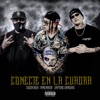 Conecte en la cuadra (feat. Amenaza & Japone Vargas) - Single