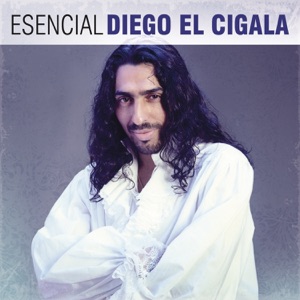 Como Quien Pierde una Estrella (with Diego El Cigala) [En Vivo]