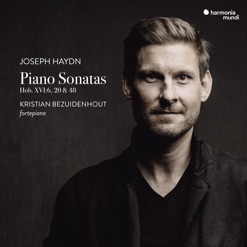 HAYDN/PIANO SONATAS cover art