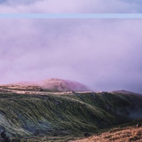 Amelia - Single - Amparo