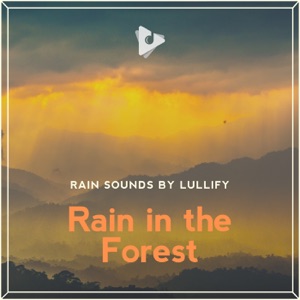 Rain in the Forest