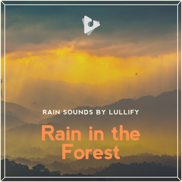 Rain in the Forest