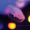 Autochromes - Robin Guthrie