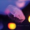 Delight - Robin Guthrie lyrics