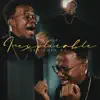 Denicher Pol - Inexplicable