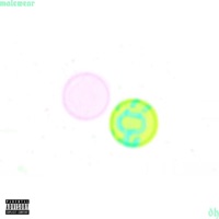 Dh - Single - Malewear