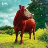 Bent - When You Come By	
