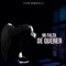Mi Falta De Querer (feat. Xion Mc) - Fer Angell lyrics