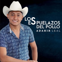 Los espuelazos del pollo