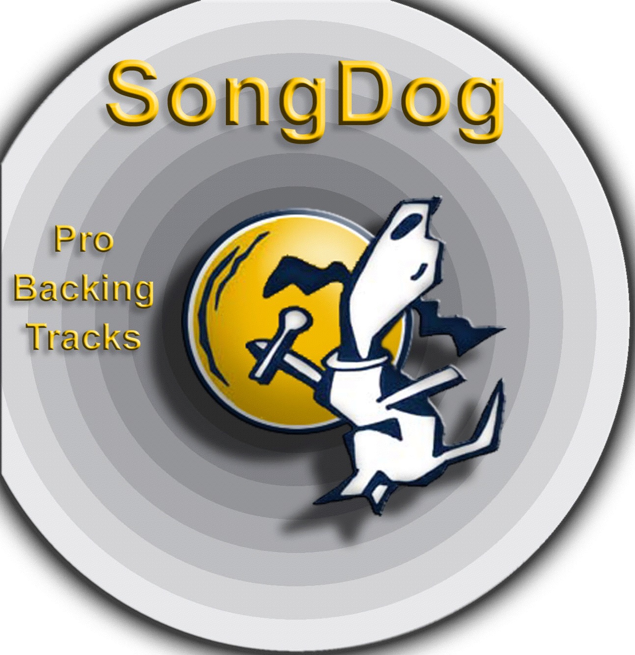 Karaoke Hits: Greatest Hits Vol. 20 (Celine Dion)