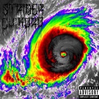 IS Hurricane Season Over YET? - Single - Strider Chikara