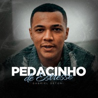 Pedacinho de Estresse - Single - Gabriel Detoni