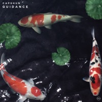 Guidance - Single - capshun