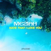 Hate That I Love You artwork