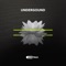 Echoes (Rose Tinted & Anna Be Remix) - aldo gargiulo lyrics