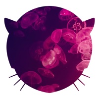 Ultramarine (Mariana Trench Remix) - Single - Musetta