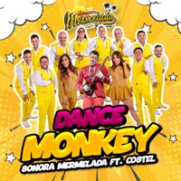 Dance Monkey (feat. Costel) - Single - Sonora Mermelada