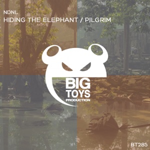 Hiding the Elephant / Pilgrim - Single