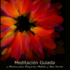 Meditación Guiada y Música para Relajarse, Meditar y Bien Dormir - Meditación Maestro