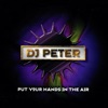 DJ Peter Project - Put Your Hands in the Air