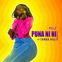 Puna Nini (feat. Tamba Hali) - Single - PILLZ