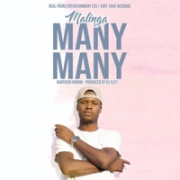 Many Many - Single - Malinga
