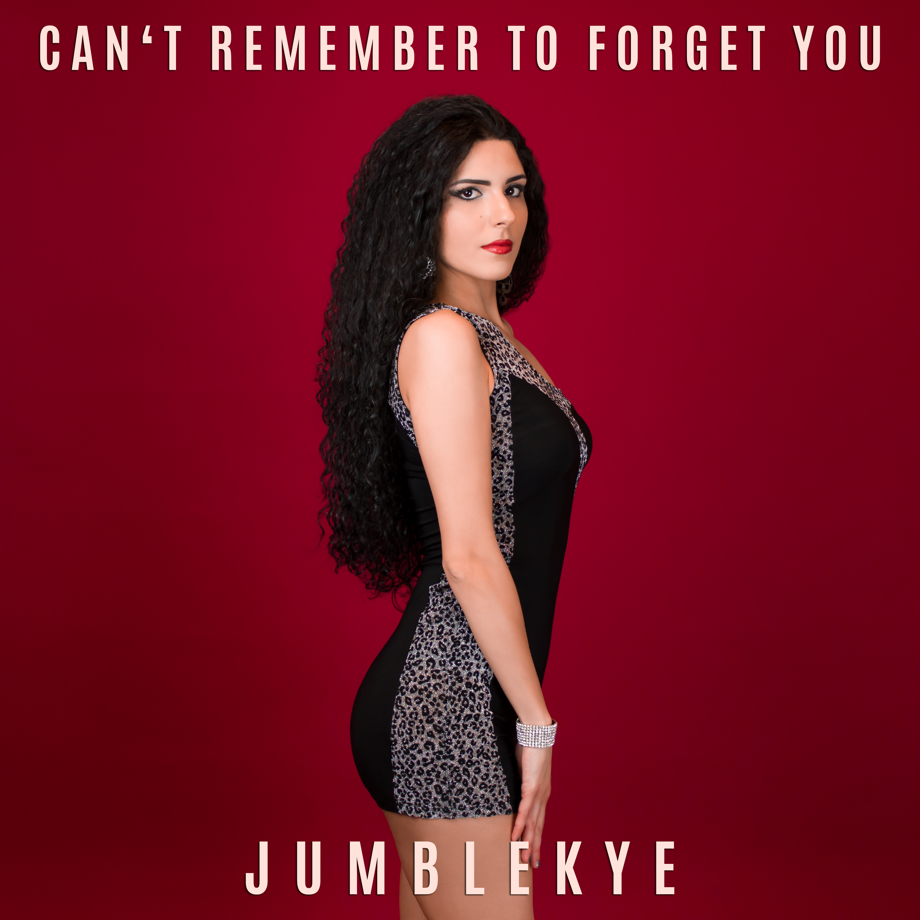 Can't Remember to Forget You - Single