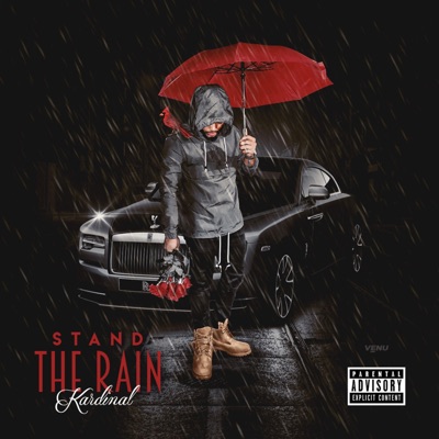 Stand the Rain - Single