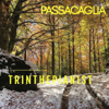 Suite No. 7 in G Minor, HWV 432/6: VI. Passacaglia - Trinthepianist