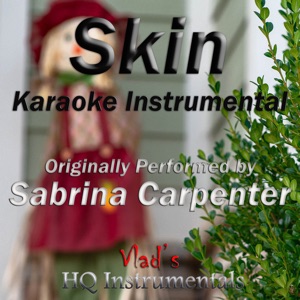Skin (Karaoke Instrumental) [Originally Performed by Sabrina Carpenter]